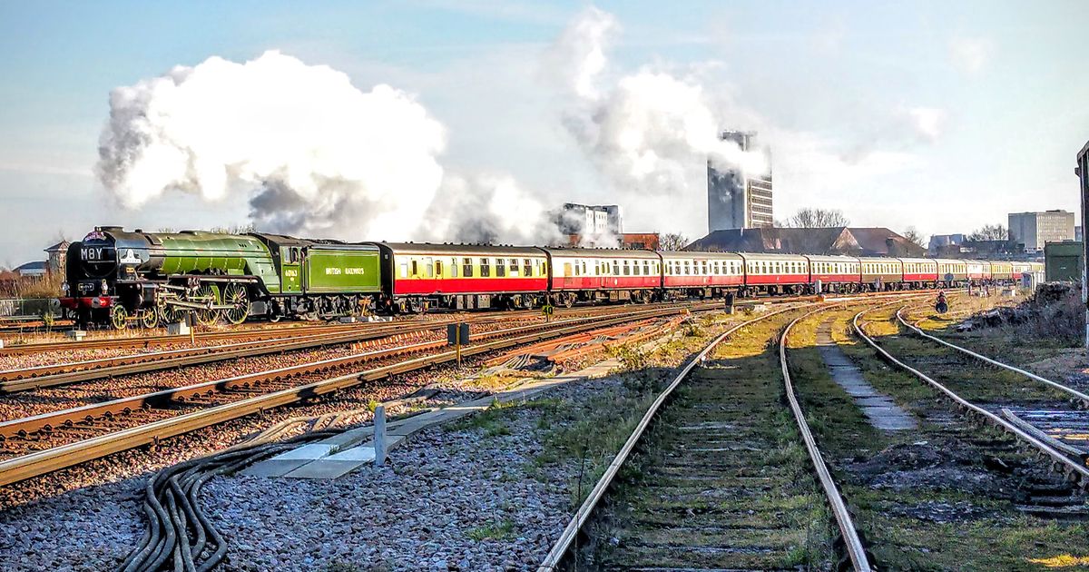 Steaming Rails Steam Rail