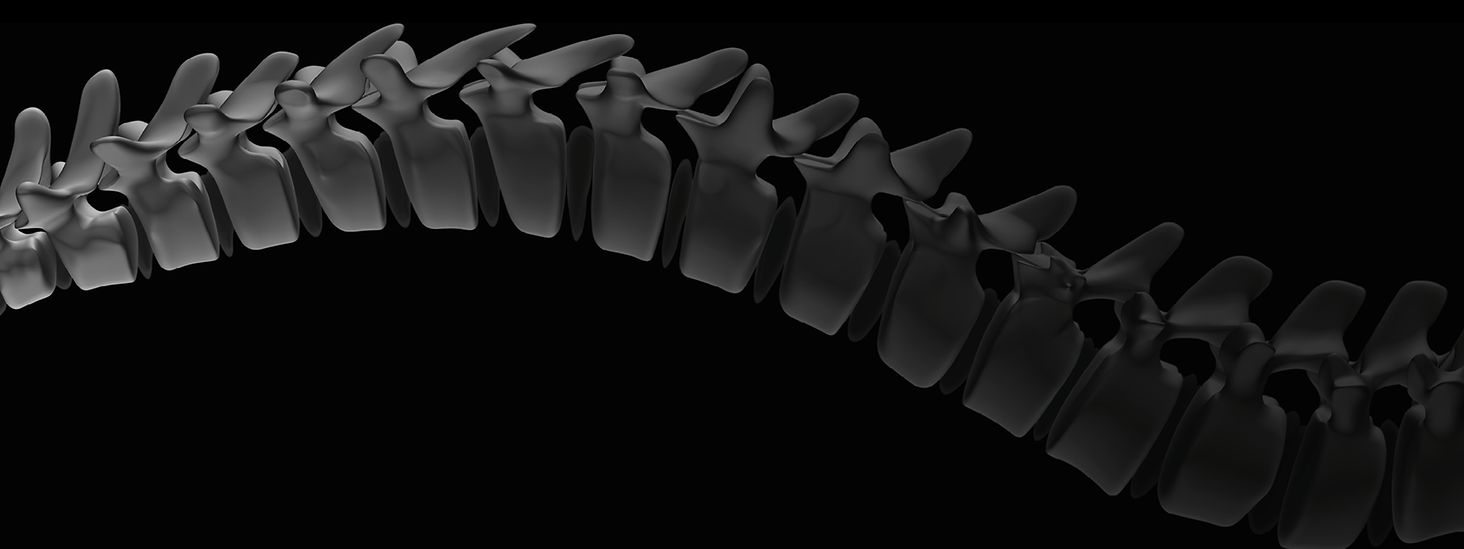 website banner