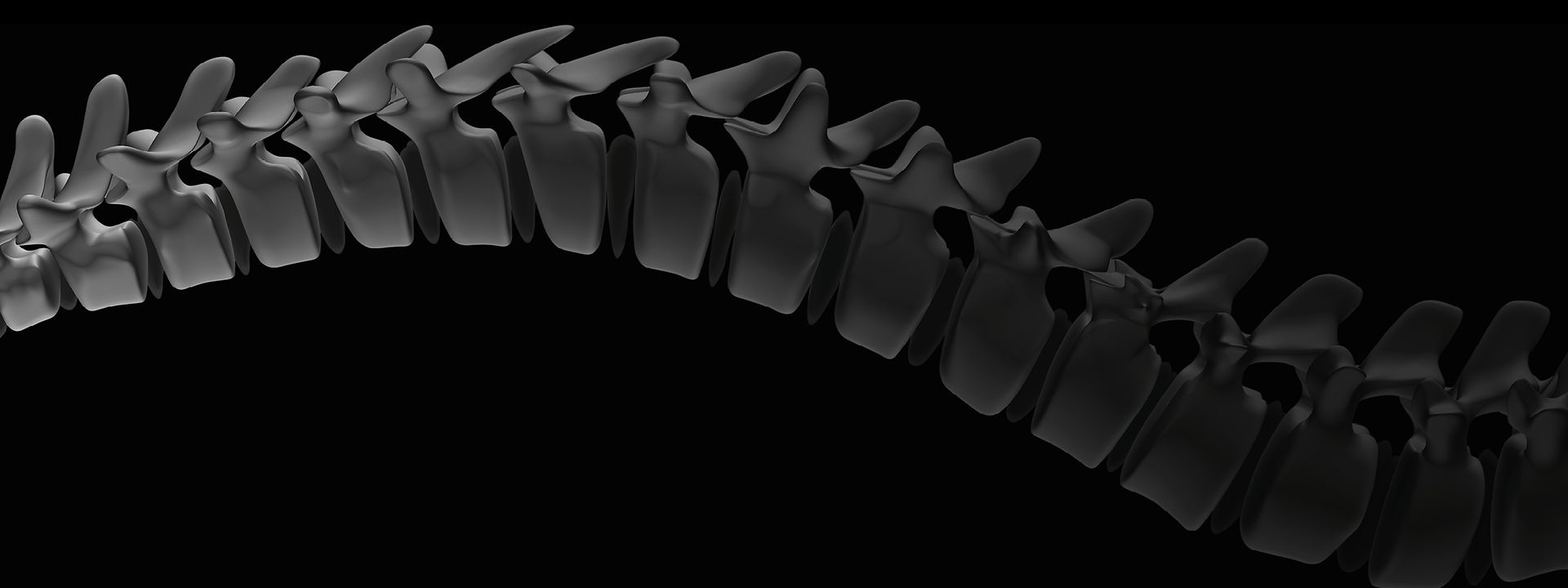 website banner